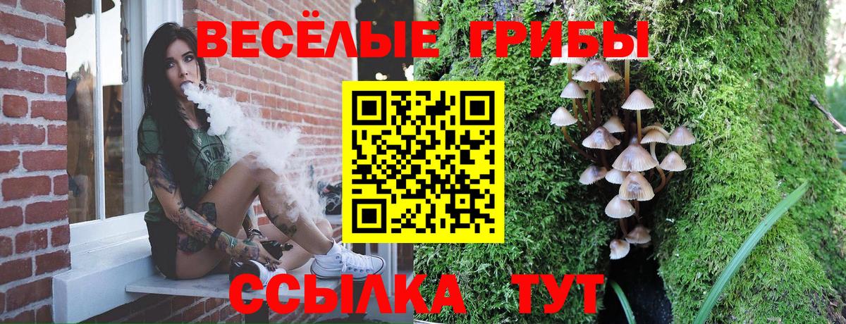 Галлюциногенные грибы прущие грибы  Вход с VPN  Муром 