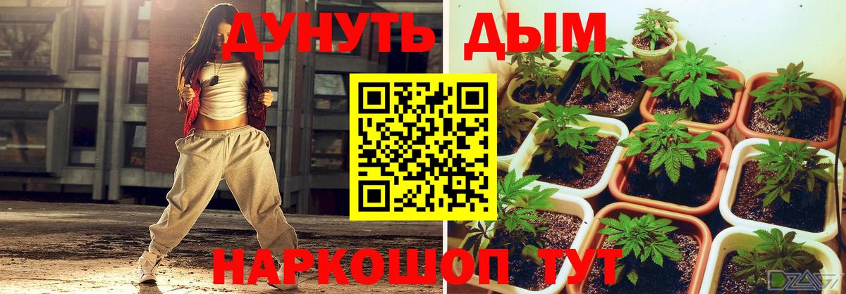 Бошки Шишки Amnesia Муром